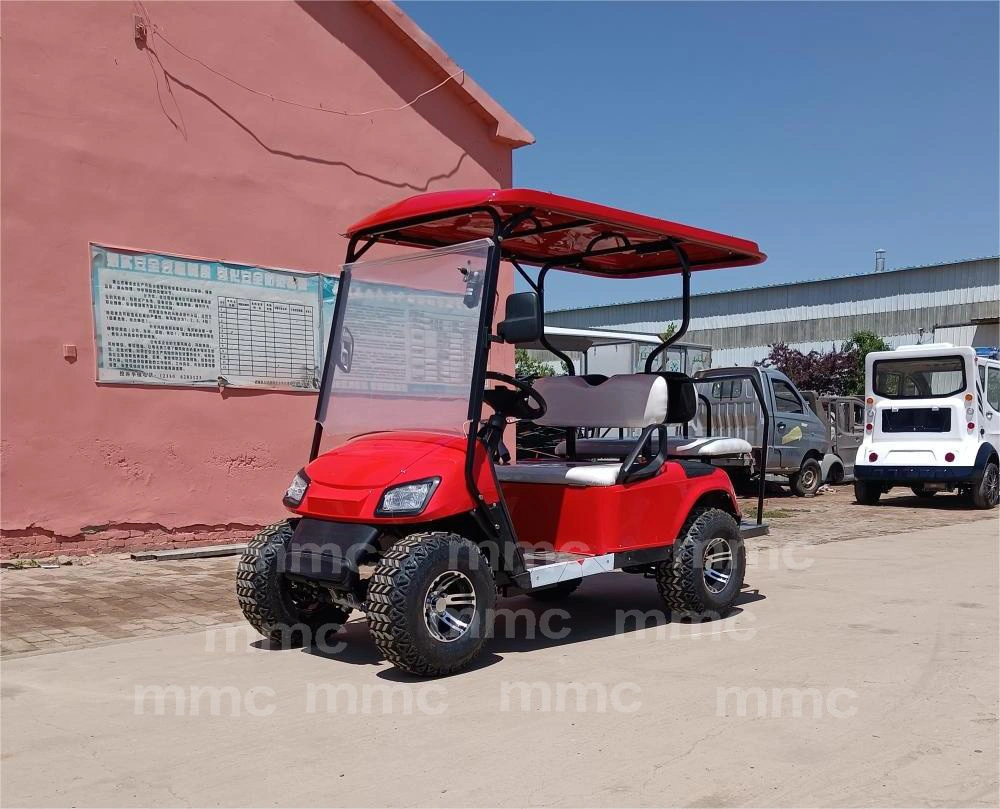 Chinese Mini Electric Car 2 Seats Passengers 4 Wheel Fast Charging Electric Golf Cart